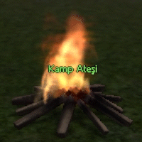 Metin2 Kamp Ateşi